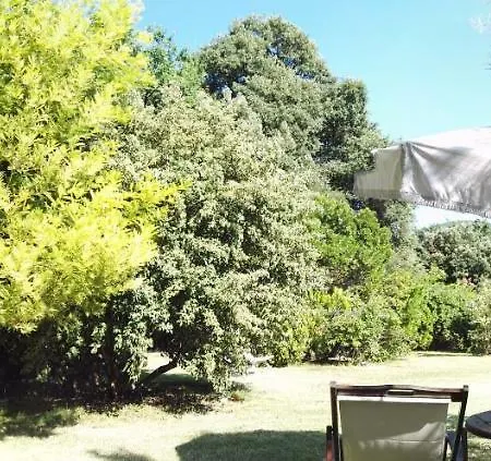 Podere Le Pianacce Bed & Breakfast