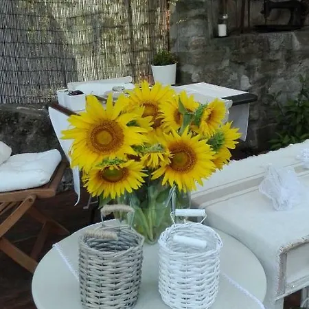 Podere Le Pianacce Bed & Breakfast Santa Luce